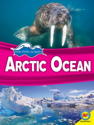 Kniha Arctic Ocean Samantha Nugent