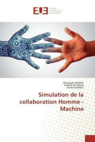 Carte Simulation de la collaboration Homme - Machine Mustapha Belfahli