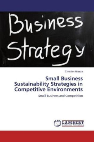 Knjiga Small Business Sustainability Strategies in Competitive Environments Christian Akaeze