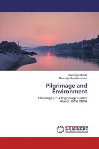 Kniha Pilgrimage and Environment Sambhaji Shinde