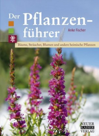 Kniha Der Pflanzenführer Anke Fischer