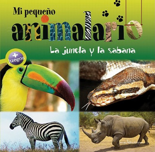 Kniha La jungla y la sabana / The Jungle and the Savanna Francesca Chiapponi