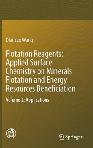 Carte Flotation Reagents: Applied Surface Chemistry on Minerals Flotation and Energy Resources Beneficiation Dianzuo Wang