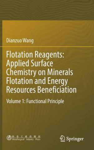 Książka Flotation Reagents: Applied Surface Chemistry on Minerals Flotation and Energy Resources Beneficiation Dianzuo Wang