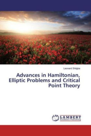 Livre Advances in Hamiltonian, Elliptic Problems and Critical Point Theory Leonard Shilgba