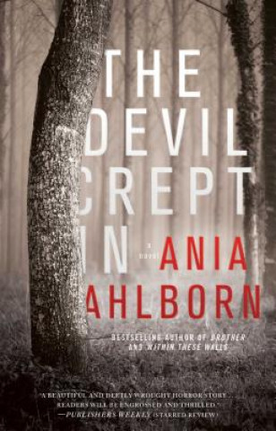 Kniha The Devil Crept in Ania Ahlborn