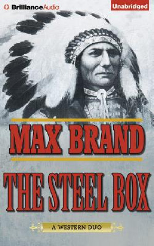 Audio The Steel Box Max Brand