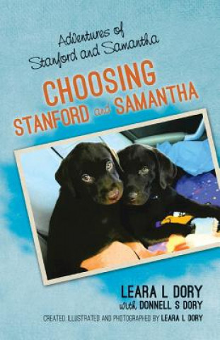 Kniha Choosing Stanford and Samantha Leara L. Dory