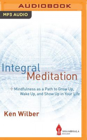Digital Integral Meditation Ken Wilber