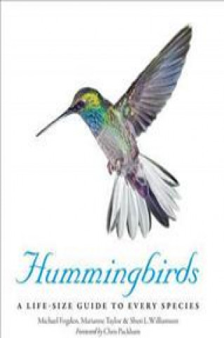 Kniha Hummingbirds Michael Fogden