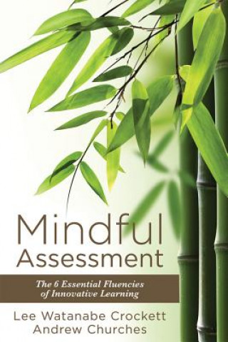 Kniha Mindful Assessment Lee Watanabe Crockett