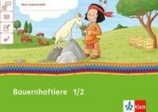 Kniha Mein Anoki-Übungsheft - Bauernhoftiere, 1./2. Klasse Cornelia Donth-Schäffer