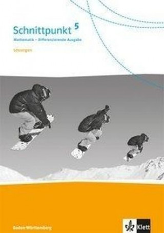 Knjiga Schnittpunkt Mathematik 6. Differenzierende Ausgabe Baden-Württemberg 