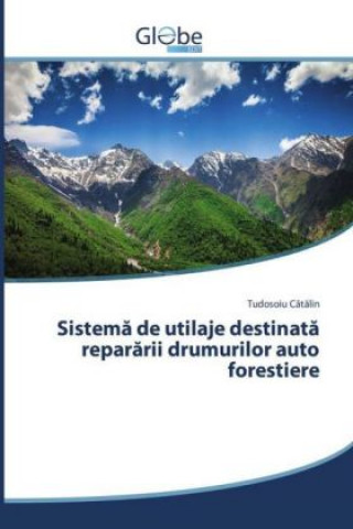 Książka Sistema de utilaje destinata repararii drumurilor auto forestiere Tudosoiu Catalin