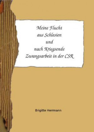 Könyv Meine Flucht aus Schlesien und nach Kriegsende Zwangsarbeit in der CSR Brigitte Herrmann