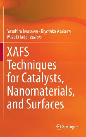 Book XAFS Techniques for Catalysts, Nanomaterials, and Surfaces Yasuhiro Iwasawa