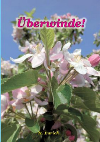 Kniha UEberwinde Harry Eurich