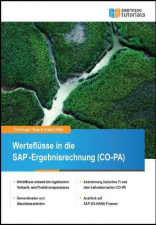 Carte Werteflüsse in die SAP-Ergebnisrechnung (CO-PA) Stefan Eifler