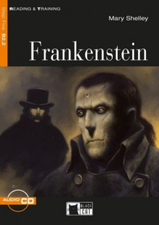 Kniha Frankenstein, w. Audio-CD Mary Shelley