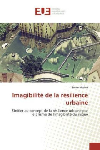 Kniha Imagibilité de la résilience urbaine Bruno Morleo