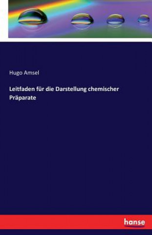 Kniha Leitfaden fur die Darstellung chemischer Praparate Hugo Amsel