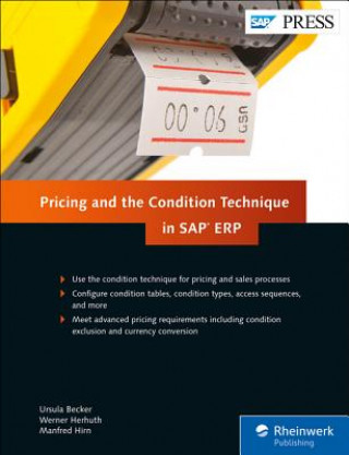 Kniha Pricing and the Condition Technique in SAP ERP Ursula Becker