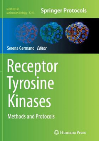 Book Receptor Tyrosine Kinases Serena Germano