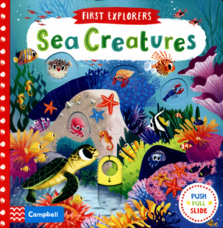 Könyv Sea Creatures Chorkung