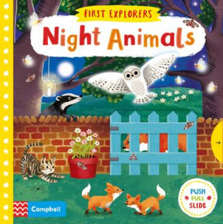 Könyv Night Animals Jenny Wren