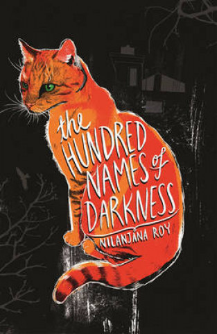 Książka Wildings: The Hundred Names of Darkness Nilanjana Roy