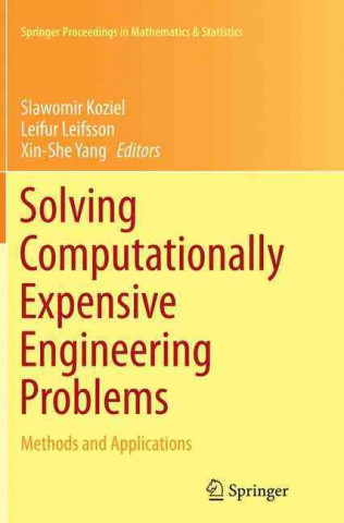 Kniha Solving Computationally Expensive Engineering Problems Slawomir Koziel