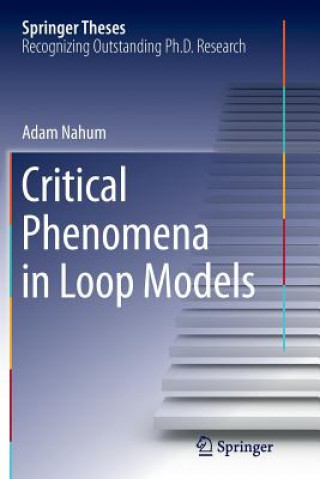 Książka Critical Phenomena in Loop Models Adam Nahum