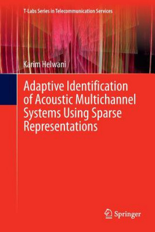 Könyv Adaptive Identification of Acoustic Multichannel Systems Using Sparse Representations Karim Helwani