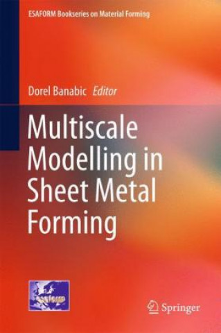 Buch Multiscale Modelling in Sheet Metal Forming Dorel Banabic