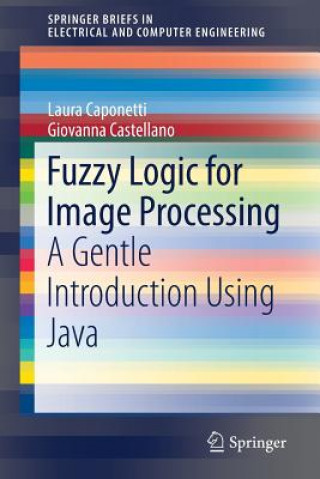 Knjiga Fuzzy Logic for Image Processing Laura Caponetti