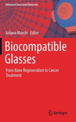 Book Biocompatible Glasses Juliana Marchi