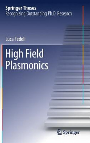 Kniha High Field Plasmonics Luca Fedeli