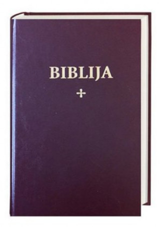 Kniha Bibel Litauisch - Biblija 