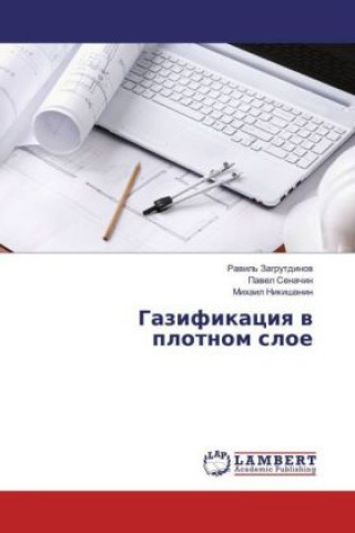 Könyv Gazifikaciya v plotnom sloe Ravil' Zagrutdinov