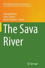 Sava River