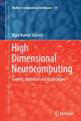 Книга High Dimensional Neurocomputing Bipin Kumar Tripathi