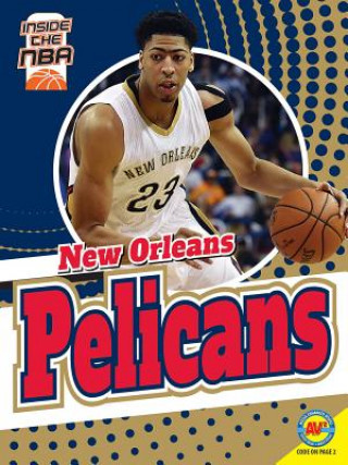 Book New Orleans Pelicans Sam Moussavi