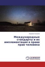 Könyv Mezhdunarodnye standarty i ih implementaciya v prave prav cheloveka Ljudmila Ul'yashina