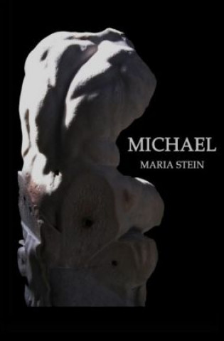 Buch Michael Maria Stein