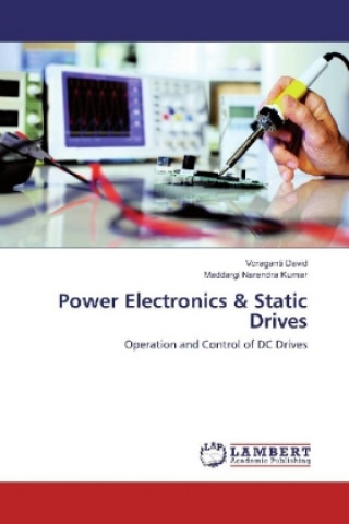 Buch Power Electronics & Static Drives Voraganti David