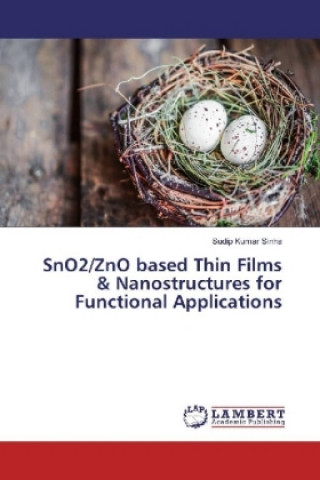 Livre SnO2/ZnO based Thin Films & Nanostructures for Functional Applications Sudip Kumar Sinha