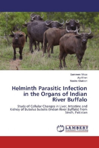 Carte Helminth Parasitic Infection in the Organs of Indian River Buffalo Samreen Mirza