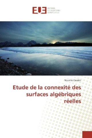 Kniha Etude de la connexité des surfaces algébriques réelles Noemie Combe