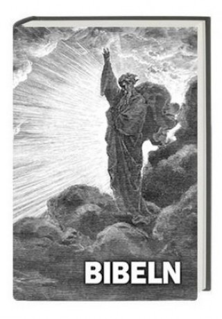 Könyv Bibel Serbisch - 