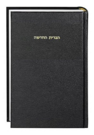 Kniha Neues Testament Hebräisch - Ivrit, Übersetzung in der Gegenwartssprache 
